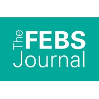 Interactions of the maternal microbiome with diet, stress, and infection influence fetal development